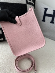 Mini Evelyne Tc Clemence  3Q Rose Sakura silver hardware