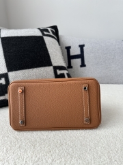 Birkin 25cm Togo Calfskin Leather CK37 Gold Brown Silver Hardware