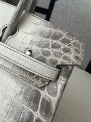 Birkin 25cm HCP Water-Dyed Matte Himalaya Crocodile Leather 01 Himalaya Silver Hardware