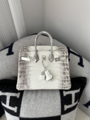Birkin 25cm HCP Water-Dyed Matte Himalaya Crocodile Leather 01 Himalaya Silver Hardware