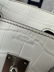Birkin 25cm HCP Water-Dyed Matte Himalaya Crocodile Leather 01 Himalaya Silver Hardware