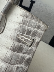 Birkin 25cm HCP Water-Dyed Matte Himalaya Crocodile Leather 01 Himalaya Silver Hardware