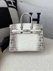 Birkin 25cm HCP Water-Dyed Matte Himalaya Crocodile Leather 01 Himalaya Silver Hardware