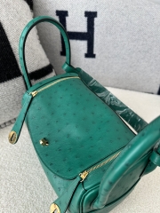 Lindy 26cm Klein Karoo ostrich  U4 Vert vertigo Gold hardware