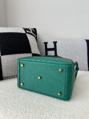 Lindy 26cm Klein Karoo ostrich  U4 Vert vertigo Gold hardware