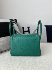 Lindy 26cm Klein Karoo ostrich  U4 Vert vertigo Gold hardware