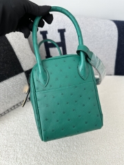 Lindy 26cm Klein Karoo ostrich  U4 Vert vertigo Gold hardware