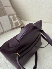 Kelly 2424 Mini Evercolor Swift Bag 21cm