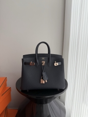 Birkin 25cm Platinum Blue Niut Togo Leather Handbag