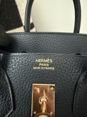 Birkin 25cm Platinum Blue Niut Togo Leather Handbag