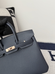 Birkin 25cm Platinum Blue Niut Togo Leather Handbag