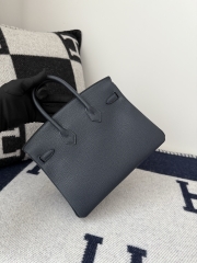 Birkin 25cm Platinum Blue Niut Togo Leather Handbag