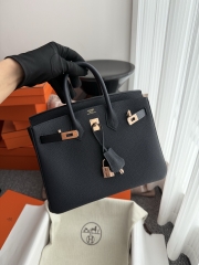 Birkin 25cm Platinum Blue Niut Togo Leather Handbag