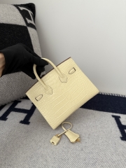 Birkin 20cm Matte Porosus Crocodile Handbag