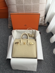 Birkin 20cm Matte Porosus Crocodile Handbag