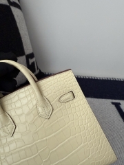Birkin 20cm Matte Porosus Crocodile Handbag