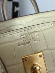 Birkin 20cm Matte Porosus Crocodile Handbag