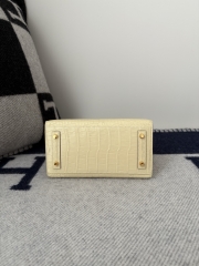 Birkin 20cm Matte Porosus Crocodile Handbag