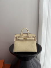 Birkin 20cm Matte Porosus Crocodile Handbag