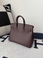 Birkin 25cm Platinum Togo Leather Bag with Gold Buckle