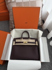 Birkin 25cm Platinum Togo Leather Bag with Gold Buckle