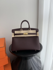 Birkin 25cm Platinum Togo Leather Bag with Gold Buckle