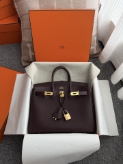 Birkin 25cm Platinum Togo Leather Bag with Gold Buckle