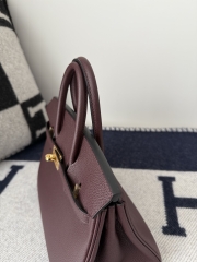 Birkin 25cm Platinum Togo Leather Bag with Gold Buckle