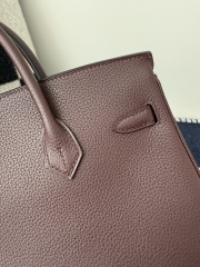 Birkin 25cm Platinum Togo Leather Bag with Gold Buckle