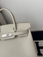 Birkin 30cm Platinum Togo Cowhide in Glacier White with Silver Hardware