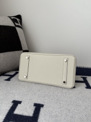 Birkin 30cm Platinum Togo Cowhide in Glacier White with Silver Hardware
