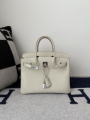 Birkin 30cm Platinum Togo Cowhide in Glacier White with Silver Hardware