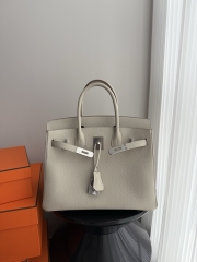 Birkin 30cm Platinum Togo Cowhide in Glacier White with Silver Hardware