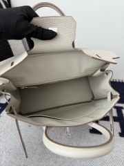 Birkin 30cm Platinum Togo Cowhide in Glacier White with Silver Hardware