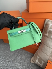 Mini Kelly 19cm Shiny Alligator Crocodile Handbag