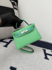 Mini Kelly 19cm Shiny Alligator Crocodile Handbag