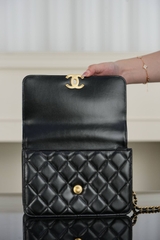 Channel 25s Black Cowhide Double Golden Ball 22cm