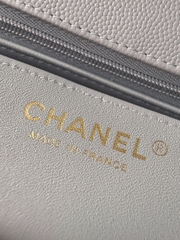 CF17 Elephant Gray Decorative