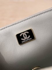 CF17 Elephant Gray Decorative