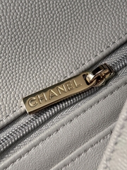 CF17 Elephant Gray Decorative