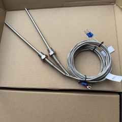 Cảm biến nhiệt độ PT100 kín nước Ren 13, R1/4