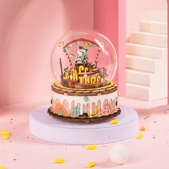 Đồ chơi lắp ráp gỗ 3D Mô hình Hộp nhạc Music Box AM41-AM45