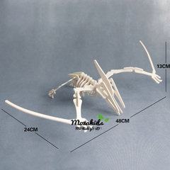 Đồ chơi lắp ráp Mô hình Khủng long Pteranodon