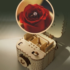 Mô hình Cơ Động học Hộp Kho Báu Treasure Box LK502