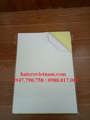 GIẤY DECAN/ ĐỀ CAN A4 ĐẾ VÀNG - GIẤY DECAL THÁI - GIẤY DECAN (TẬP 100 TỜ)