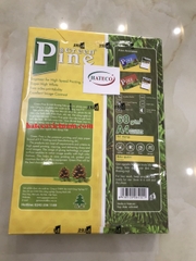 GIẤY GREEN PINE A4 ĐỊNH LƯỢNG 60 GSM - GIẤY PHOTO - GIẤY IN