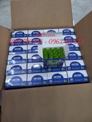 BÚT XÓA NƯỚC BATOS 12ml CP-2G - BÚT PHỦ (HÀNG CHÍNH HÃNG)