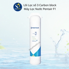 Lõi Lọc Nước Pentair F1