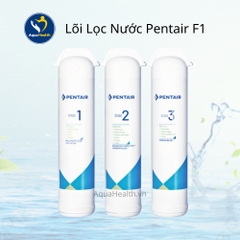 Lõi Lọc Nước Pentair F1