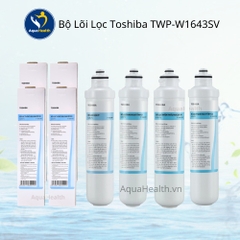 Bộ lõi lọc Toshiba TWP-W1643SV (4 lõi: PP-C1-RO-C2)